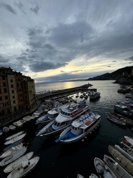 Ferienwohnung Attico Sul Porticciolo Antico Di Camogli Exterior foto